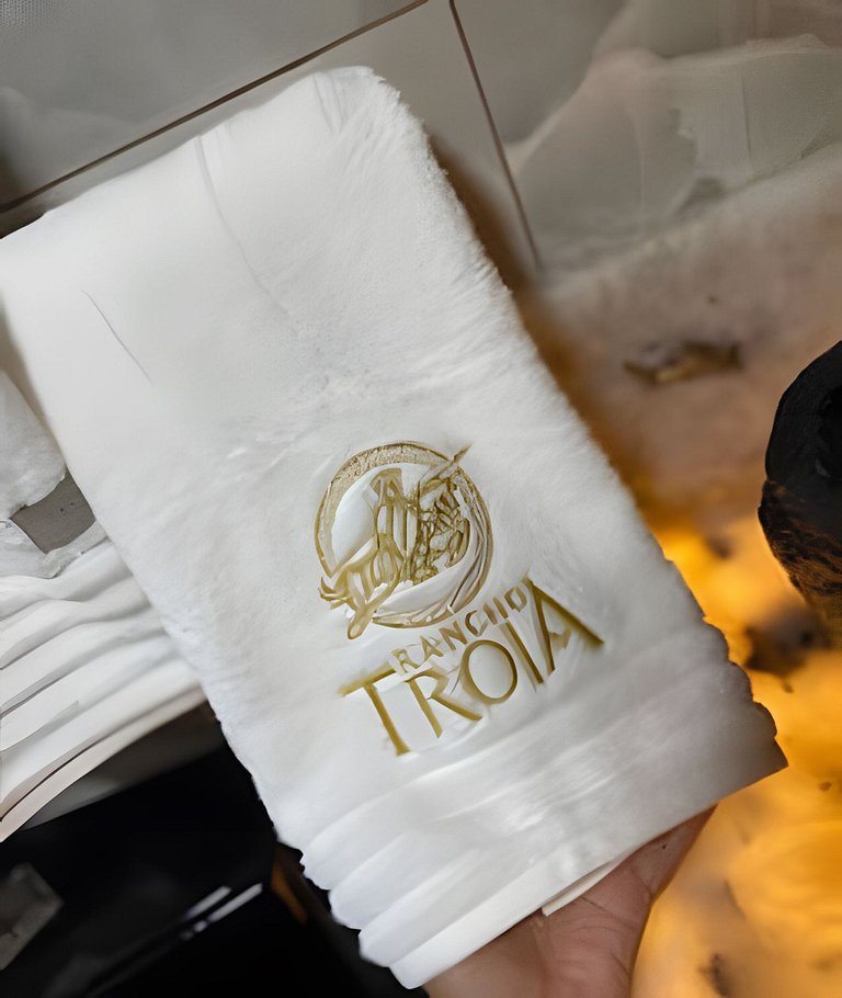 Cabana Temática - Dragão